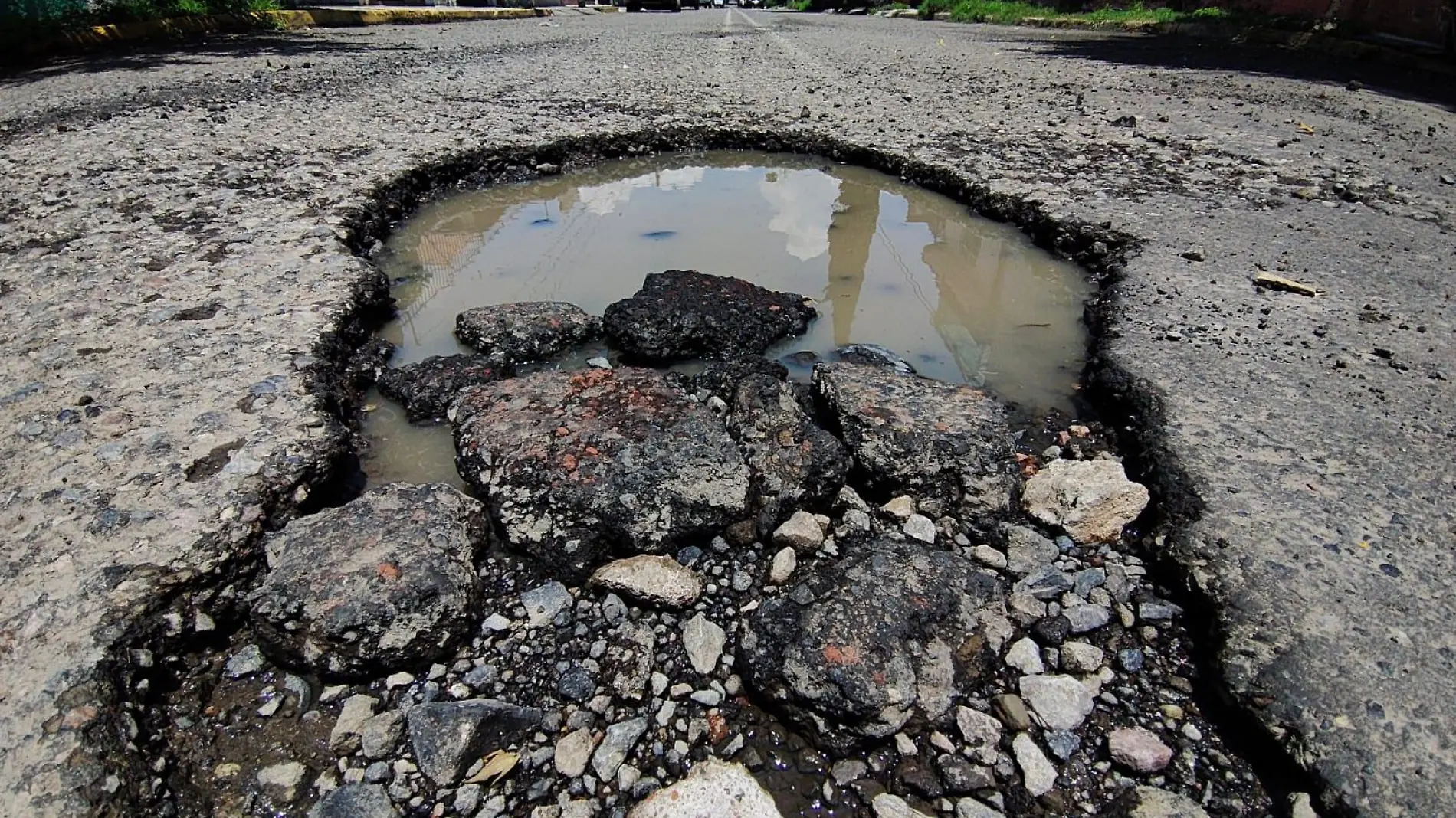 Bache en calles de Morelia